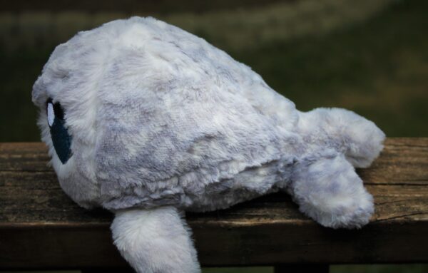 Seal Plushies- Your Very Own Seal of Approval! - Image 2