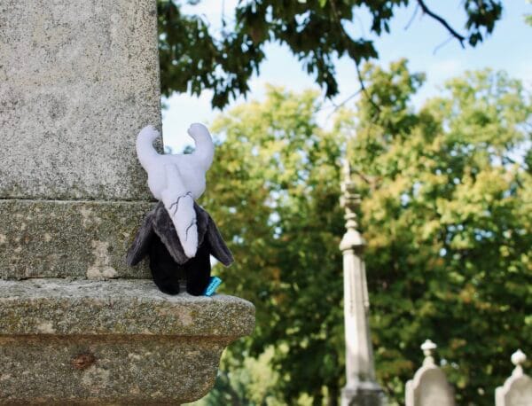 Knight Plushie- Tiny Hero, Big Heart - Image 5