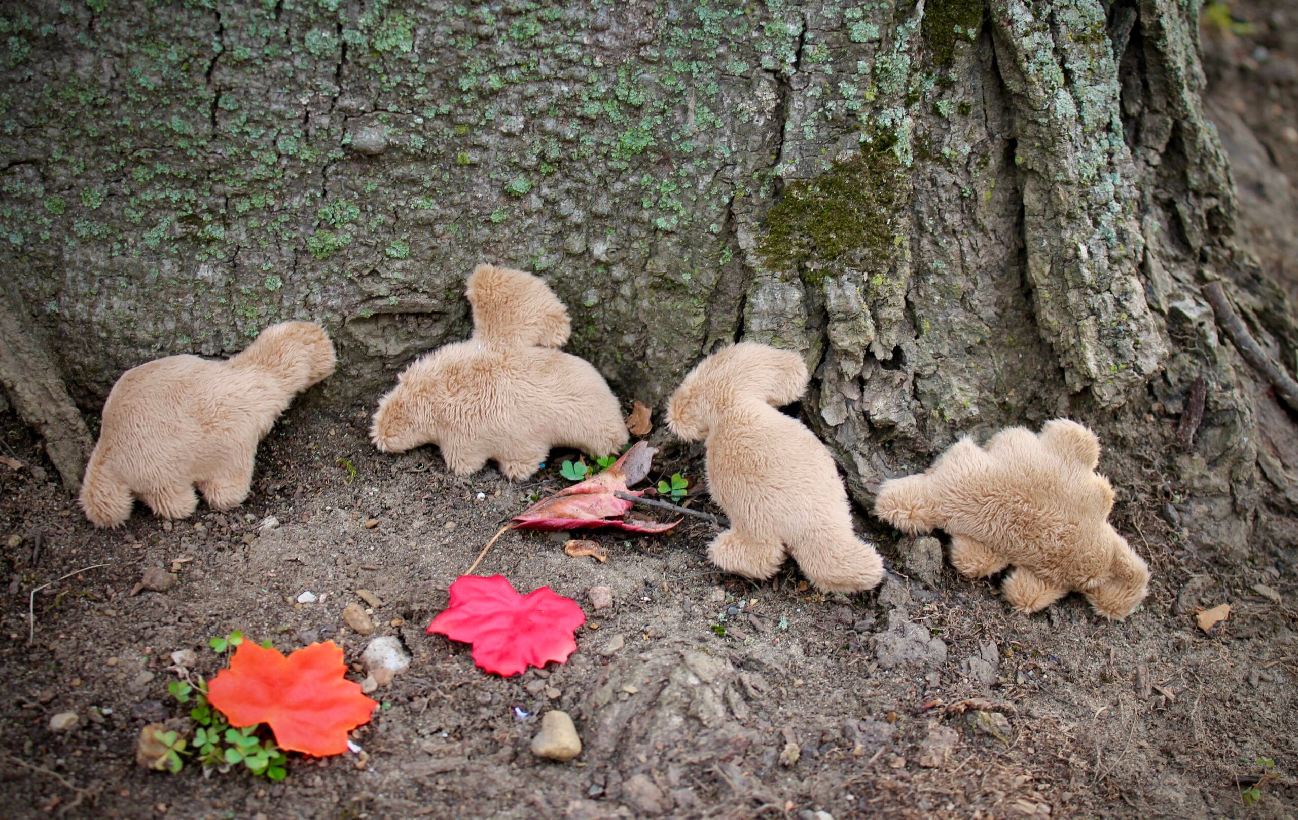Dino Nugget Cat Toy Set 4-Piece Prehistoric Play Treats! - Image 2