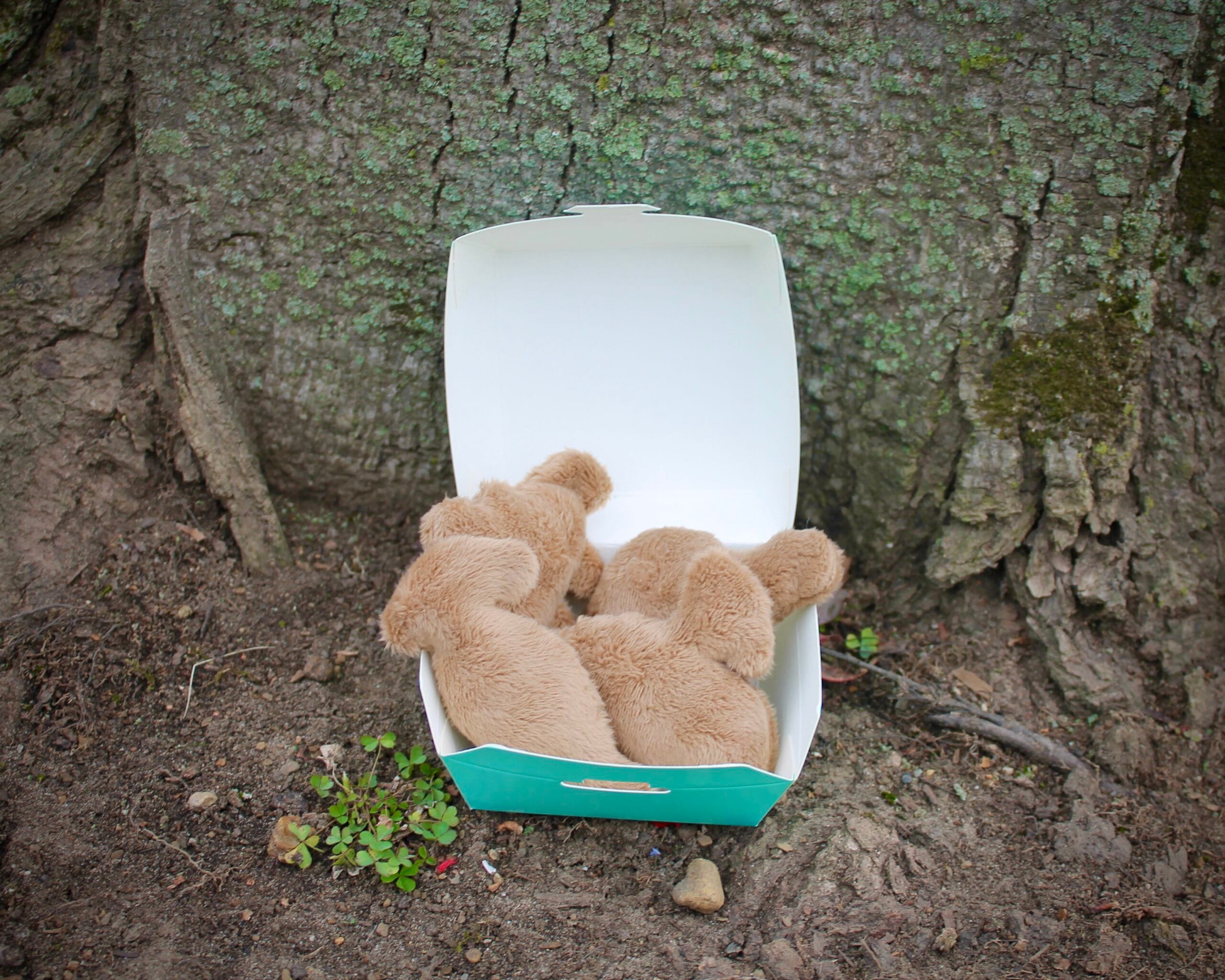 Dino Nugget Cat Toy Set 4-Piece Prehistoric Play Treats!