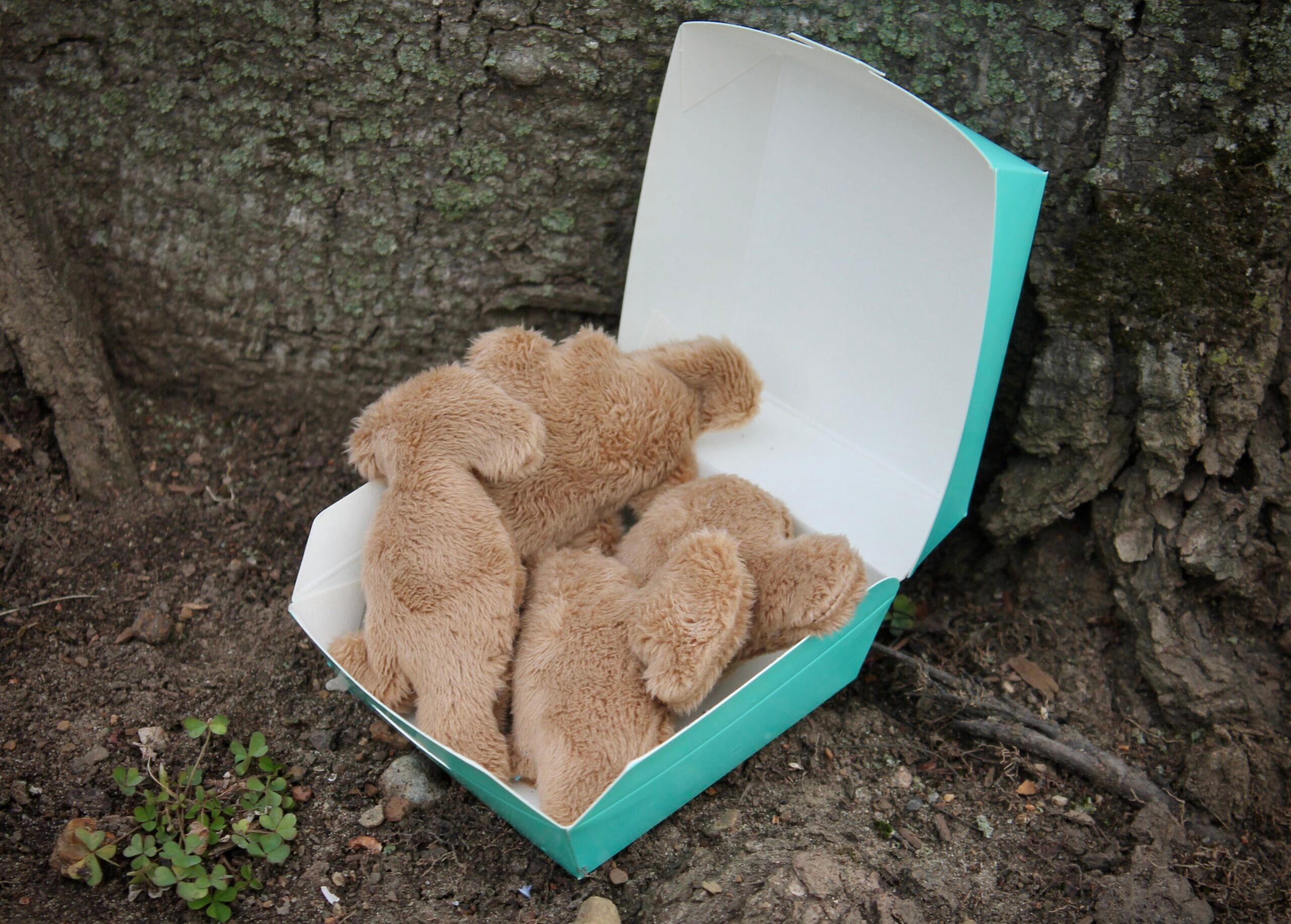 Dino Nugget Cat Toy Set 4-Piece Prehistoric Play Treats! - Image 3