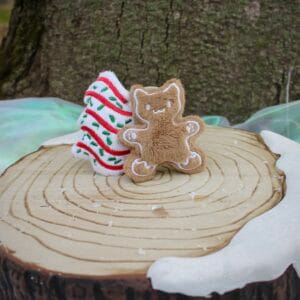 Cozy Christmas Catnip Crew - Gingerbread Kitty & Christmas Tree Cake!
